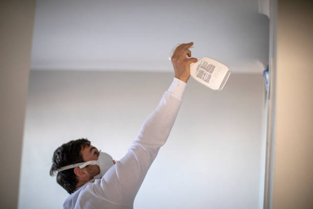 Home Mold Removal in Holly Hill, FL